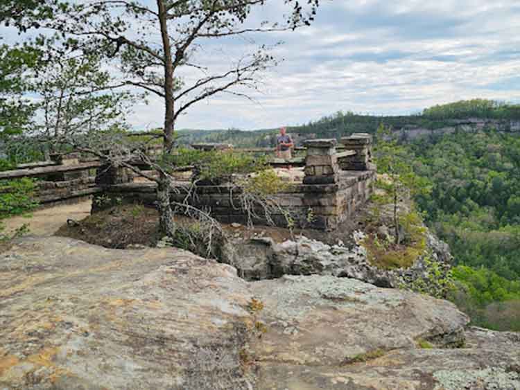 Chimney Top Overlook
