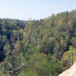 Natural Bridge State Resort Park