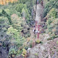 Natural Bridge State Resort Park