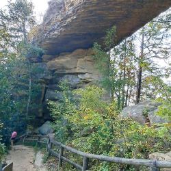 Natural Bridge State Resort Park