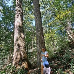 Portland Arch Nature Preserve
