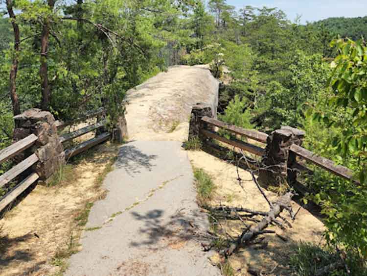 Sky Bridge Picnic Area