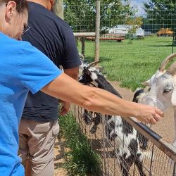 Wilstem Wildlife Park